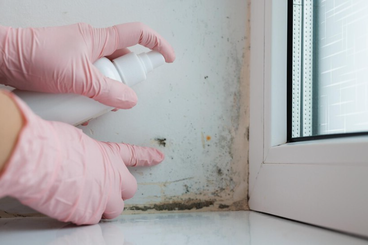 Penész? Na azt már nem!